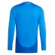Italia Tricou Fotbal Replică European 2024 Barbati Acasa Mâneci Lungi